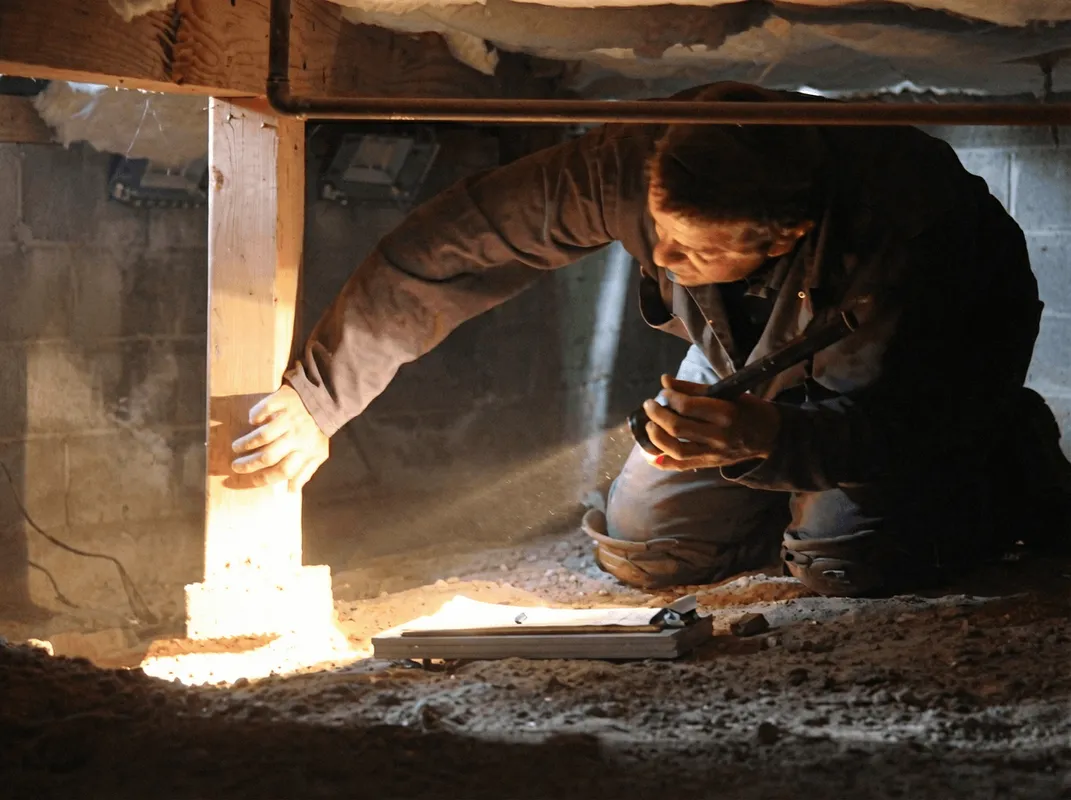 A professional inspecting wooden beams under the floor of a structure in Milwaukee, WI